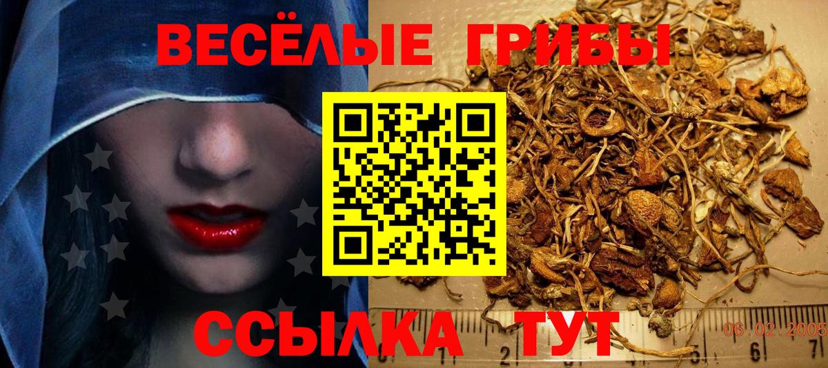 Псилоцибиновые грибы GOLDEN TEACHER Александров