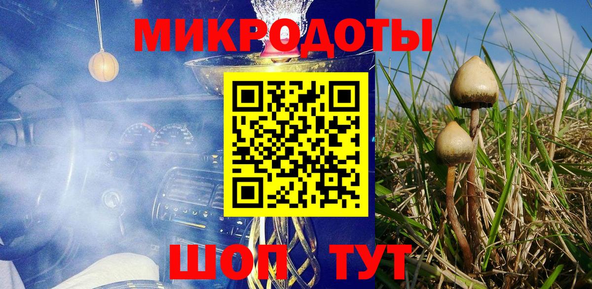 наркота  Псилоцибиновые грибы GOLDEN TEACHER  Вход с VPN  Александров 